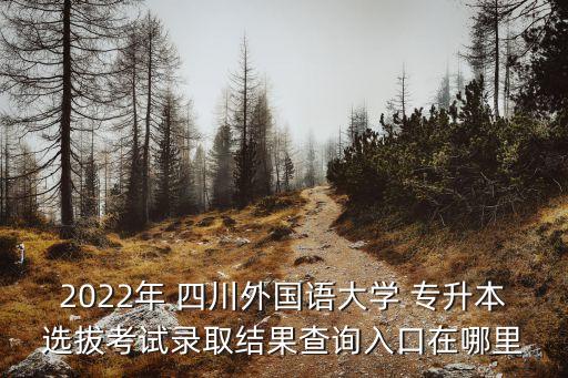 2022年 四川外國語大學 專升本選拔考試錄取結(jié)果查詢?nèi)肟谠谀睦? class=