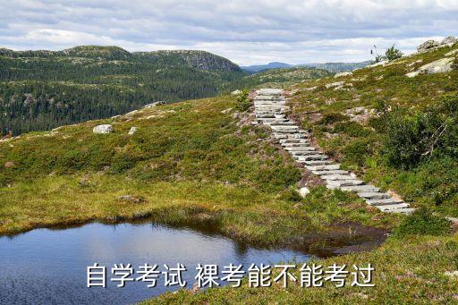 自學(xué)考試 裸考能不能考過
