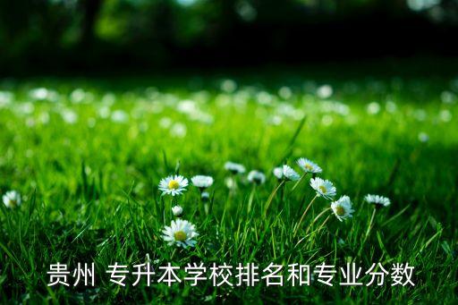  貴州 專升本學校排名和專業(yè)分數(shù)