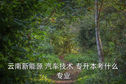 云南新能源 汽車(chē)技術(shù) 專(zhuān)升本考什么 專(zhuān)業(yè)