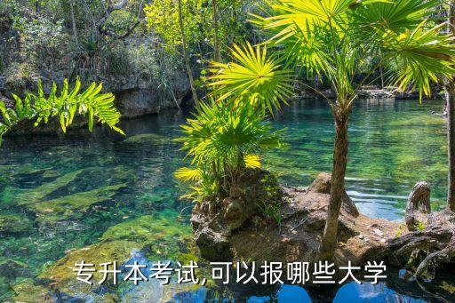  專升本考試,可以報哪些大學