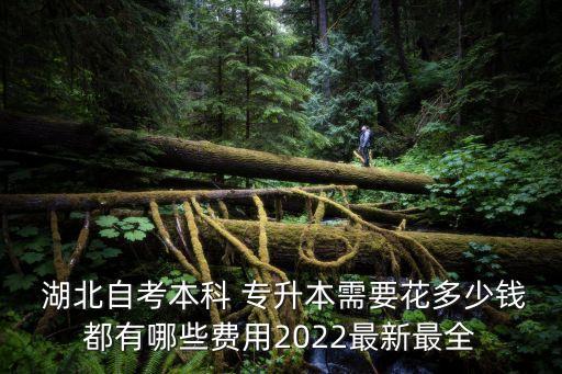  湖北自考本科 專升本需要花多少錢都有哪些費(fèi)用2022最新最全