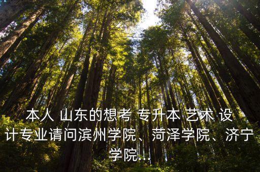 本人 山東的想考 專升本 藝術(shù) 設(shè)計(jì)專業(yè)請問濱州學(xué)院、菏澤學(xué)院、濟(jì)寧學(xué)院...