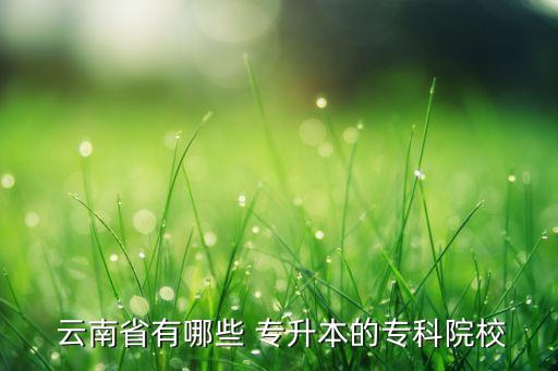  云南省有哪些 專升本的?？圃盒? class=