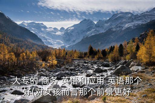 大專的 商務(wù) 英語和應(yīng)用 英語那個(gè)好(對(duì)女孩而言那個(gè)前景更好
