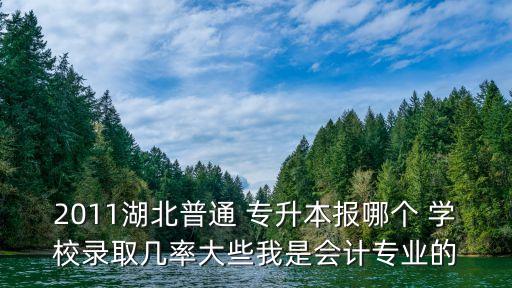 2011湖北普通 專升本報哪個 學(xué)校錄取幾率大些我是會計專業(yè)的