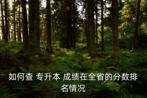 如何查 專升本 成績(jī)?cè)谌〉姆謹(jǐn)?shù)排名情況