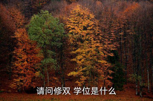 請(qǐng)問(wèn)修雙 學(xué)位是什么