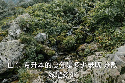 山東 專升本的總分是多少錄取 分?jǐn)?shù)線是多少