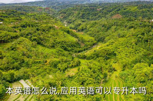 專升本英語(yǔ)怎么說(shuō),應(yīng)用英語(yǔ)可以專升本嗎