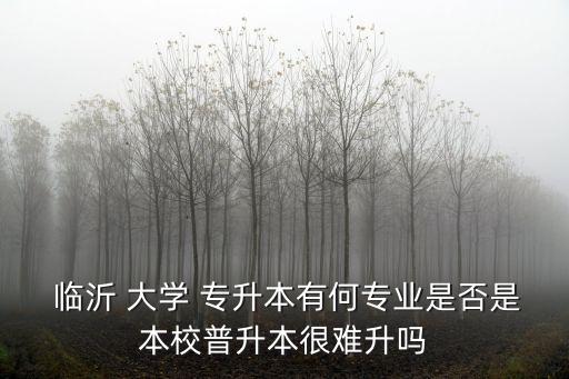 臨沂大學(xué)專(zhuān)升本2019年