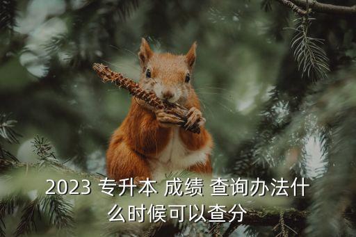 2023 專升本 成績(jī) 查詢辦法什么時(shí)候可以查分