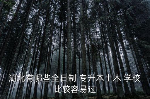 湖北有哪些全日制 專升本土木 學校比較容易過