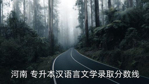 河南 專升本漢語(yǔ)言文學(xué)錄取分?jǐn)?shù)線