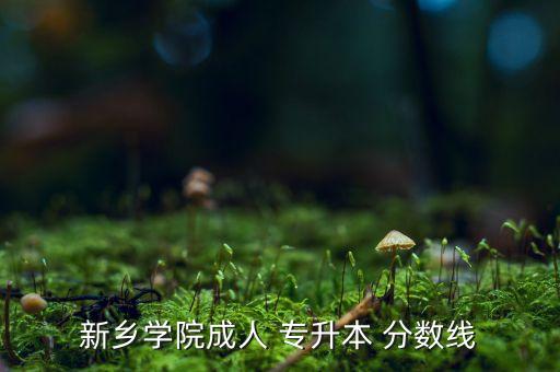 新鄉(xiāng)學院成人 專升本 分數(shù)線