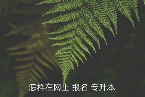 全國專升本考試報名,2023年專升本考試報名