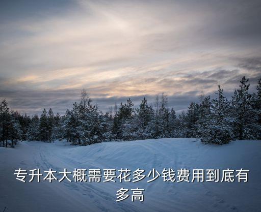  專升本大概需要花多少錢費用到底有多高