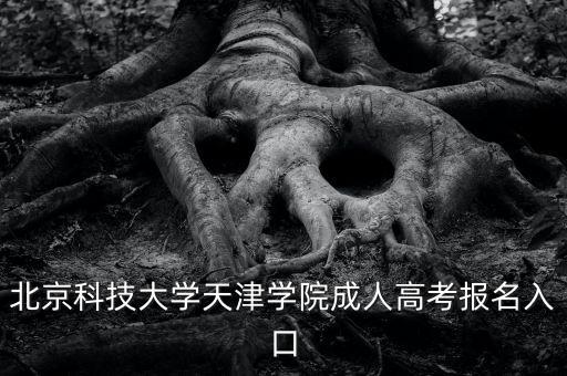 北京科技大學(xué)天津?qū)W院成人高考報名入口