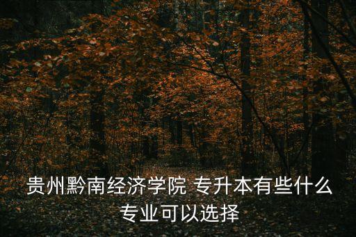  貴州黔南經(jīng)濟學院 專升本有些什么 專業(yè)可以選擇