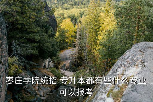 棗莊學(xué)院統(tǒng)招 專升本都有些什么專業(yè)可以報(bào)考