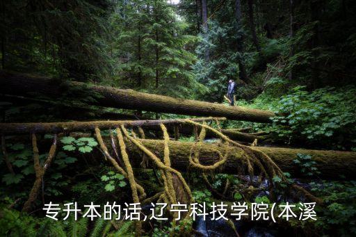  專升本的話,遼寧科技學(xué)院(本溪