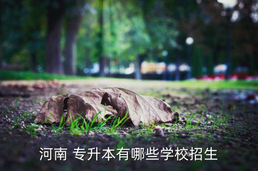 南專升本鄭州升達經貿管理學院,鄭州升達經貿管理學院專升本在哪個校區(qū)