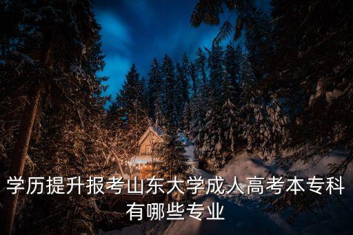 學(xué)歷提升報(bào)考山東大學(xué)成人高考本專科有哪些專業(yè)