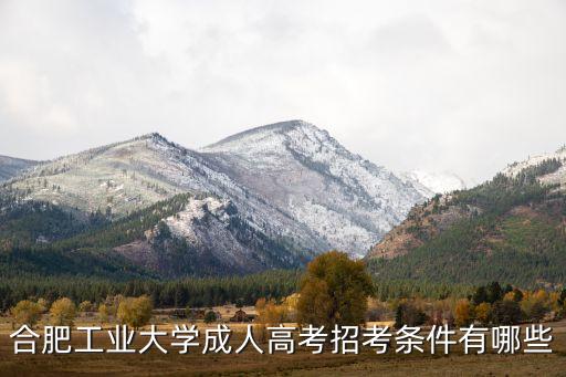 合肥工業(yè)大學成人高考招考條件有哪些