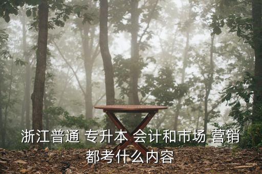 浙江普通 專升本 會計(jì)和市場 營銷都考什么內(nèi)容