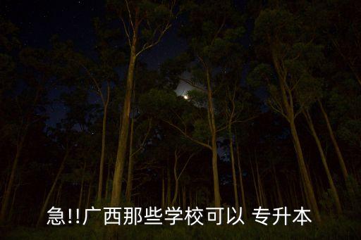 急!!廣西那些學?？梢?專升本