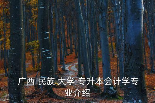  廣西 民族 大學(xué) 專升本會計學(xué)專業(yè)介紹