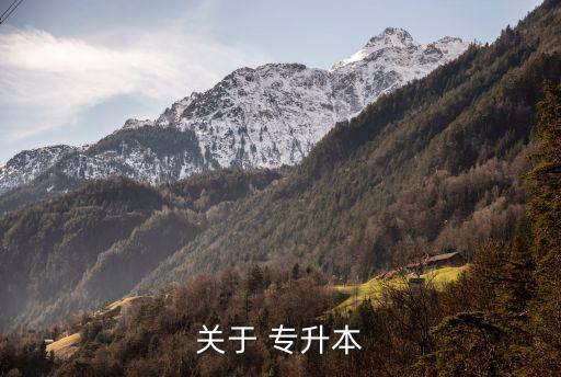 關(guān)于 專(zhuān)升本