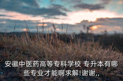 合肥華美專升本