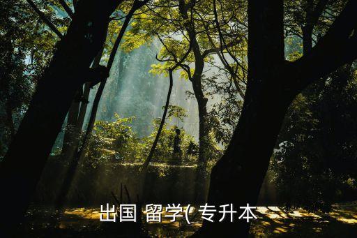 出國 留學(xué)( 專升本