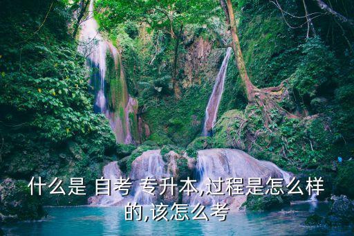 什么是 自考 專升本,過程是怎么樣的,該怎么考