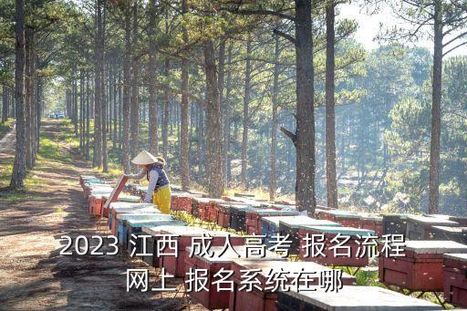 2023 江西 成人高考 報(bào)名流程網(wǎng)上 報(bào)名系統(tǒng)在哪