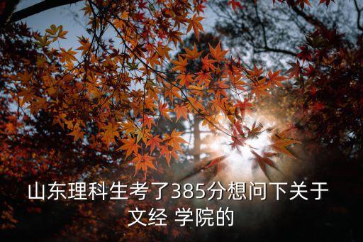 山東理科生考了385分想問下關(guān)于 文經(jīng) 學(xué)院的