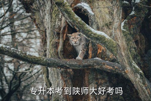 陜西師范大學歷史專升本