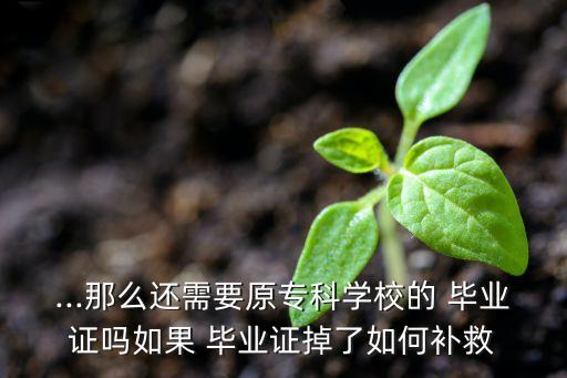 ...那么還需要原?？茖W(xué)校的 畢業(yè)證嗎如果 畢業(yè)證掉了如何補(bǔ)救