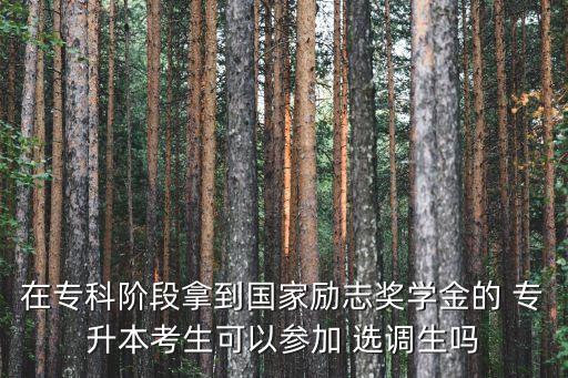 在?？齐A段拿到國家勵志獎學(xué)金的 專升本考生可以參加 選調(diào)生嗎