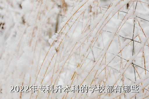 2022年?？粕究频膶W(xué)校都有哪些