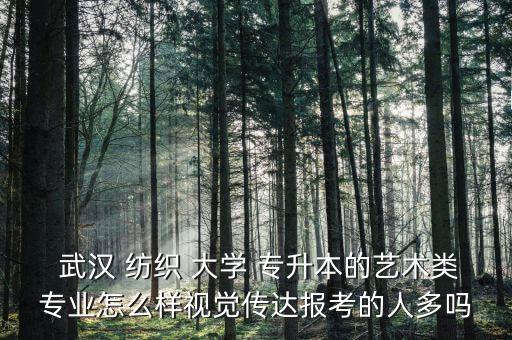  武漢 紡織 大學 專升本的藝術類專業(yè)怎么樣視覺傳達報考的人多嗎