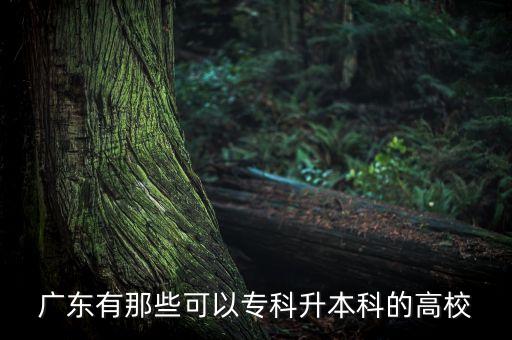 廣東有那些可以?？粕究频母咝? class=