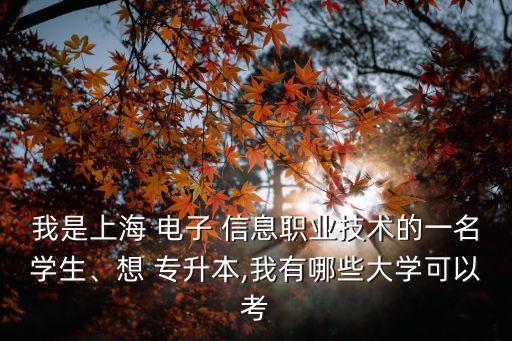 我是上海 電子 信息職業(yè)技術(shù)的一名學(xué)生、想 專升本,我有哪些大學(xué)可以考