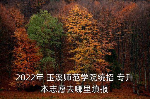 2022年 玉溪師范學(xué)院統(tǒng)招 專升本志愿去哪里填報(bào)