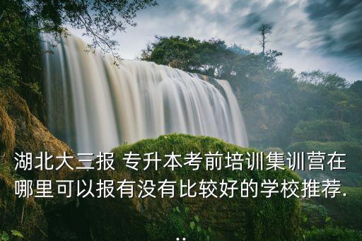 湖北大三報(bào) 專升本考前培訓(xùn)集訓(xùn)營(yíng)在哪里可以報(bào)有沒(méi)有比較好的學(xué)校推薦...