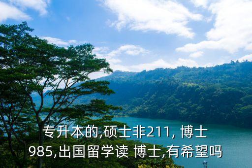  專升本的,碩士非211, 博士 985,出國留學讀 博士,有希望嗎