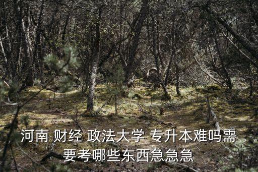 河南 財(cái)經(jīng) 政法大學(xué) 專升本難嗎需要考哪些東西急急急