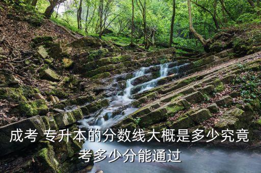 山東2016專(zhuān)升本省控線,2016山東專(zhuān)升本計(jì)算機(jī)真題及答案解析