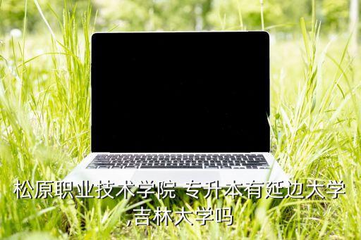 松原職業(yè)技術學院 專升本有延邊大學,吉林大學嗎